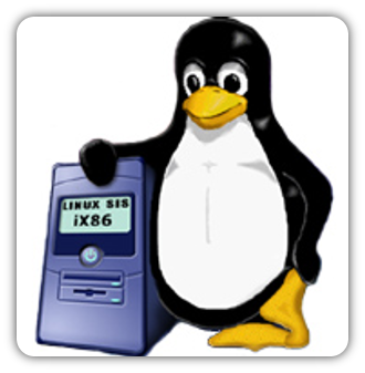 Il server naturalmente usa GNU/Linux